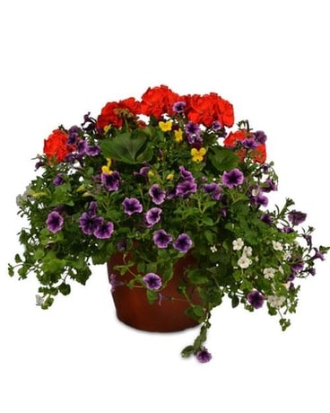 Patio Planters Flower Arrangement